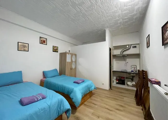 Cozy Studio In Zizkov Prague